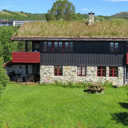 Mountain With 5 Bedrooms And 2 Fireplaces Holiday home Beitostolen