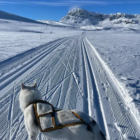 Mountain With 5 Bedrooms And 2 Fireplaces