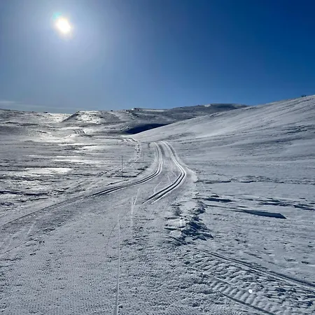 Mountain With 5 Bedrooms And 2 Fireplaces בית נופש Beitostolen