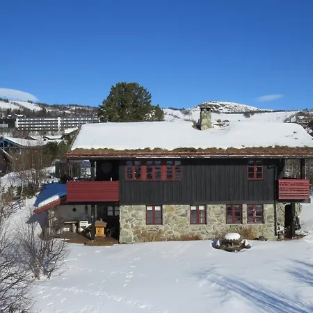 Mountain With 5 Bedrooms And 2 Fireplaces Beitostolen