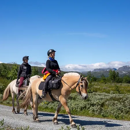 Mountain With 5 Bedrooms And 2 Fireplaces * Beitostolen